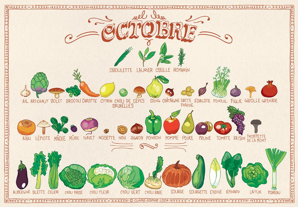 legumes saison