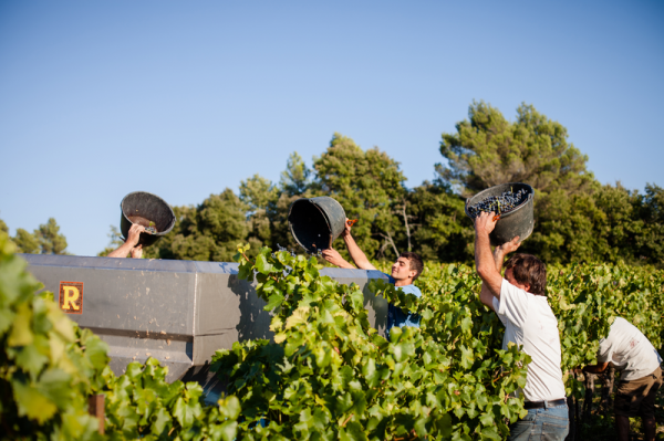 chateau-la-canorgue-vin-biologique